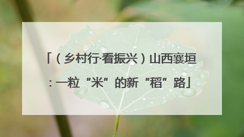 （乡村行·看振兴）山西襄垣：一粒“米”的新“稻”路