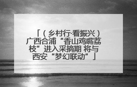 （乡村行·看振兴）广西合浦“香山鸡嘴荔枝”进入采摘期 将与西安“梦幻联动”