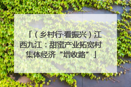 （乡村行·看振兴）江西九江：甜蜜产业拓宽村集体经济“增收路”