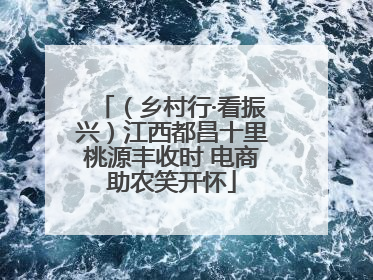 （乡村行·看振兴）江西都昌十里桃源丰收时 电商助农笑开怀