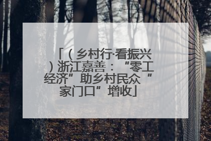 （乡村行·看振兴）浙江嘉善：“零工经济”助乡村民众“家门口”增收
