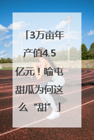 3万亩年产值4.5亿元！喻屯甜瓜为何这么“甜”