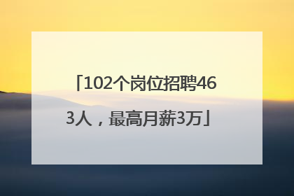 102个岗位招聘463人，最高月薪3万