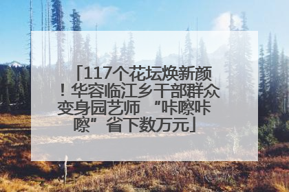 117个花坛焕新颜！华容临江乡干部群众变身园艺师 “咔嚓咔嚓”省下数万元