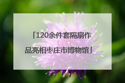 120余件套隔扇作品亮相枣庄市博物馆