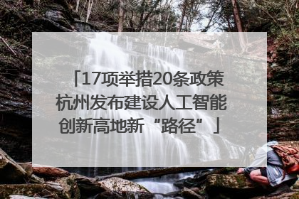 17项举措20条政策 杭州发布建设人工智能创新高地新“路径”