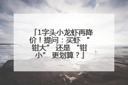 1字头小龙虾再降价！提问：买虾 “钳大” 还是 “钳小” 更划算？