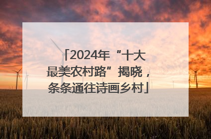 2024年“十大最美农村路”揭晓，条条通往诗画乡村
