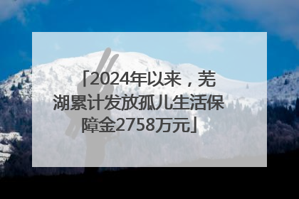 2024年以来，芜湖累计发放孤儿生活保障金2758万元