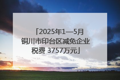 2025年1—5月铜川市印台区减免企业税费 3757万元