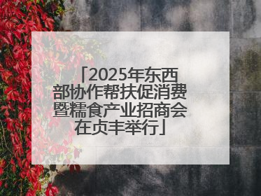 2025年东西部协作帮扶促消费暨糯食产业招商会在贞丰举行