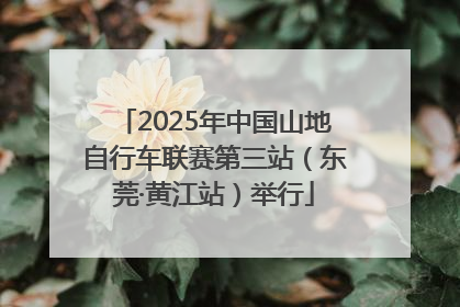 2025年中国山地自行车联赛第三站（东莞·黄江站）举行
