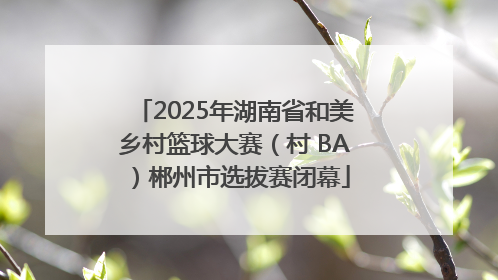 2025年湖南省和美乡村篮球大赛（村 BA）郴州市选拔赛闭幕