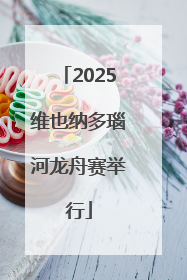 2025维也纳多瑙河龙舟赛举行