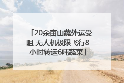 20余亩山蔬外运受阻 无人机极限飞行8小时转运6吨蔬菜