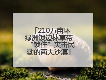 210万亩环绿洲锁边林草带“锁住”夹击民勤的两大沙漠