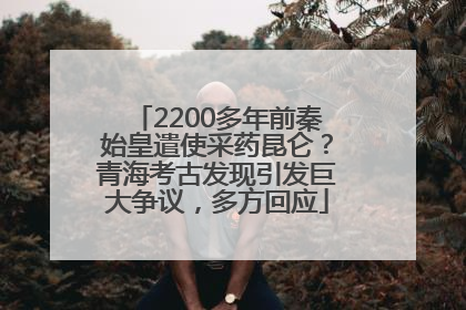 2200多年前秦始皇遣使采药昆仑？青海考古发现引发巨大争议，多方回应
