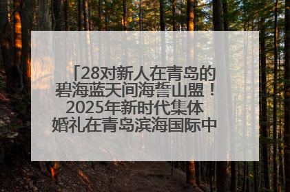 28对新人在青岛的碧海蓝天间海誓山盟！2025年新时代集体婚礼在青岛滨海国际中心文明实践广场举行