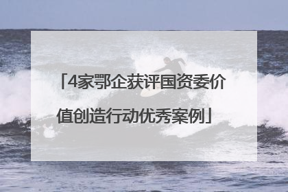 4家鄂企获评国资委价值创造行动优秀案例