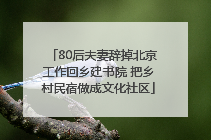 80后夫妻辞掉北京工作回乡建书院 把乡村民宿做成文化社区