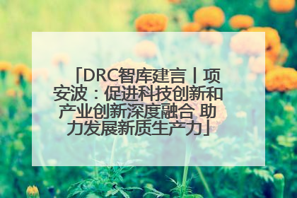 DRC智库建言丨项安波：促进科技创新和产业创新深度融合 助力发展新质生产力