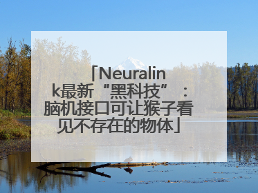 Neuralink最新“黑科技”：脑机接口可让猴子看见不存在的物体